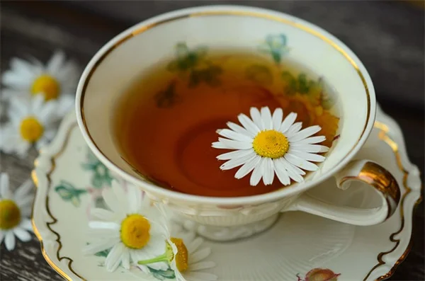 簡単に育てられる花7選：ほったらかしでも庭が華やぐ、私の経験から厳選