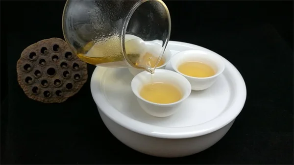 花粉媒介者のための水飲み場を庭に作る5つの簡単なアイデア